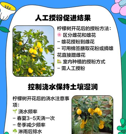 果树开花时浇水的正确方法（果树浇水的频率和方法对开花结果的影响）