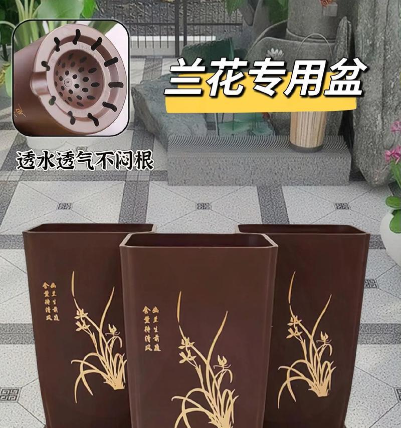 如何选择合适的兰花花盆（美观与实用兼备，打造独特的兰花生态环境）