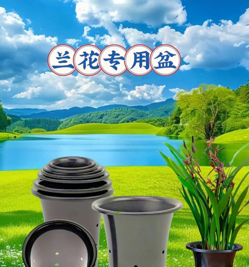 如何选择合适的兰花花盆（美观与实用兼备，打造独特的兰花生态环境）