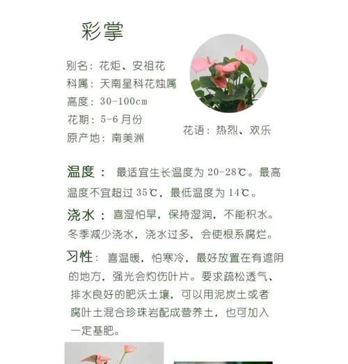 红掌花的浇水方法（浇水频率及水量的要求）