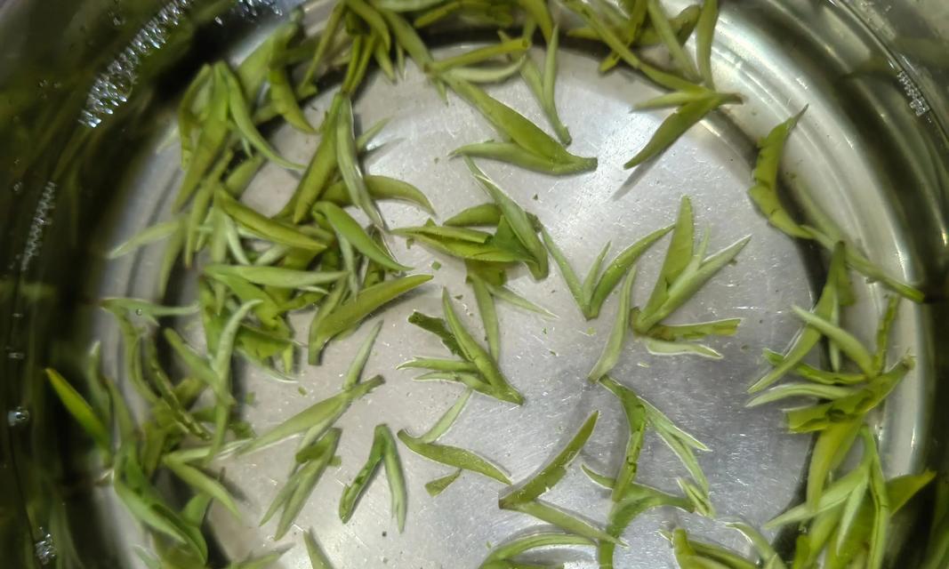 毛尖茶的采摘时间与收获季节（春茶是制作毛尖茶的最佳时期——详解毛尖茶的采摘、制作与收获）
