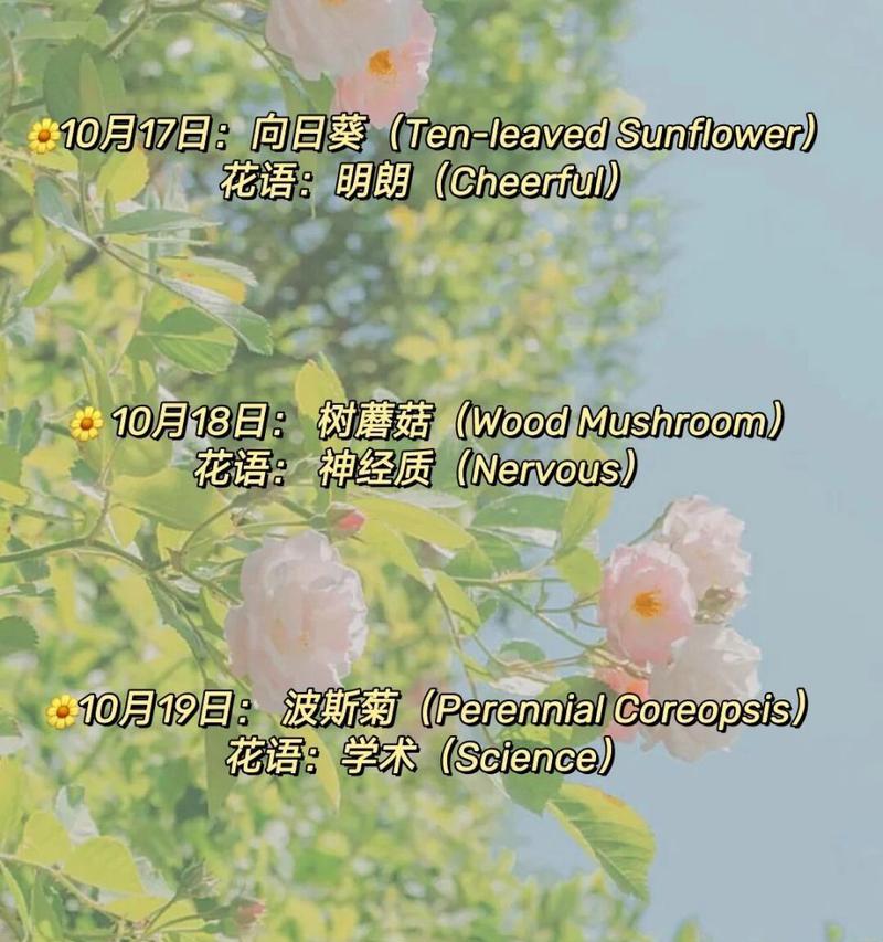 车厘子的生长周期与结果时间（了解车厘子花期和结果时间，让你种植更得心应手）