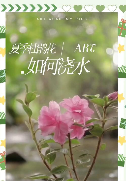 杜鹃花水浇多了应该怎么办（杜鹃花养护误区及正确处理方法）