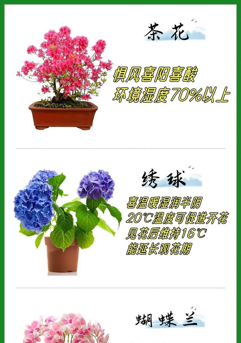 杜鹃花的水养之道（从种植到养护，让杜鹃花健康成长）