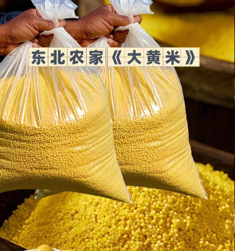 大黄米的种植技巧（探究大黄米的生长环境及栽培方法）