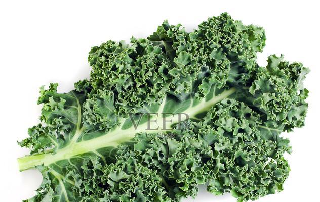 寻找和卷心菜相似的蔬菜（探索颜色、形状和口感的不同之处）