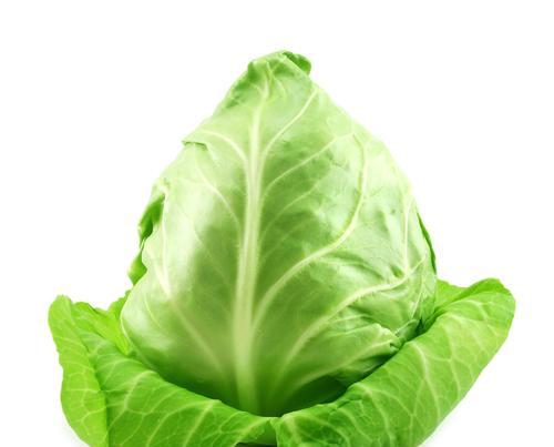 寻找和卷心菜相似的蔬菜（探索颜色、形状和口感的不同之处）