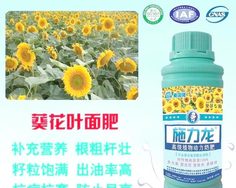 向日葵的肥料选择及管理技巧（如何选择适合向日葵的肥料和科学施肥）