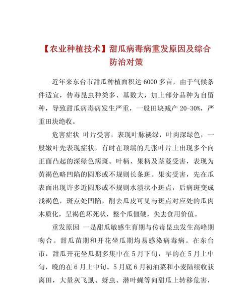 甜瓜黄叶病的防治方法（掌握黄叶病的原因，有效遏制甜瓜大面积感染）