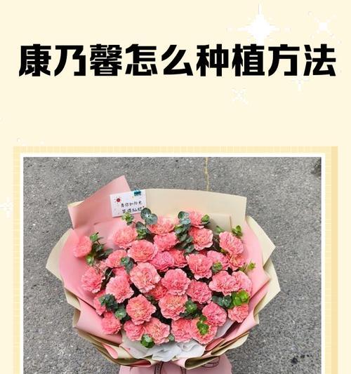康乃馨的最佳播种时间（了解康乃馨的生长周期和生态环境对播种时间的影响）