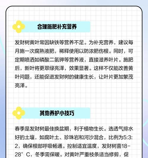 发财树叶子开裂怎么办（解决发财树叶子开裂的有效方法）