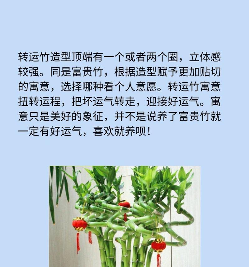 竹子的象征意义及其文化内涵（丰富多样的竹子象征意义与传承千年的文化寓意）