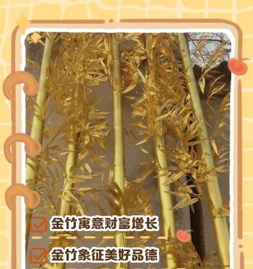 竹子的象征意义及其文化内涵（丰富多样的竹子象征意义与传承千年的文化寓意）
