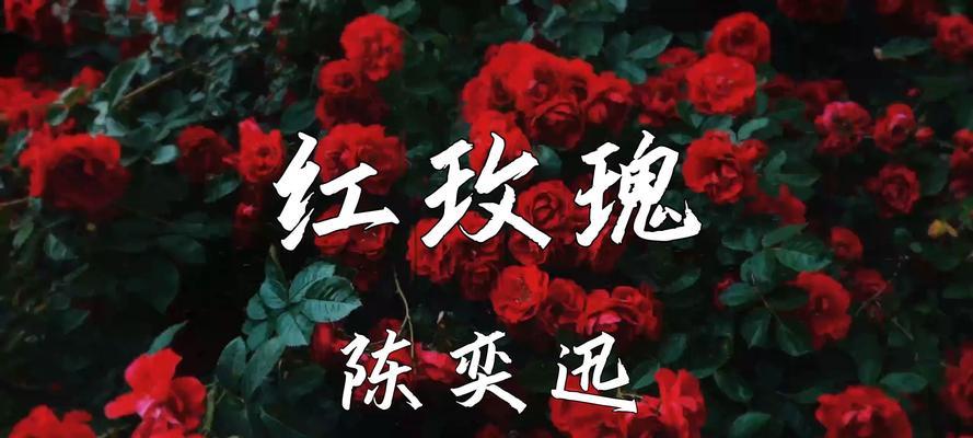 红玫瑰（红玫瑰花语及其传说，传递爱的语言）