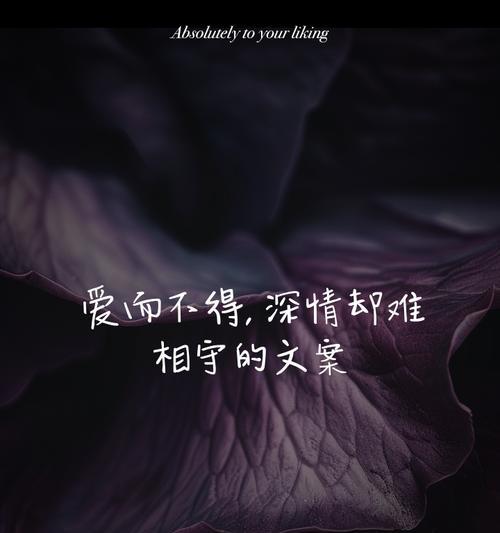 悲伤之花（百合花意象探析与爱的无奈）