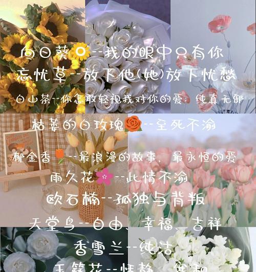 热情之花（康乃馨花语的热情和激情，让世界充满活力）