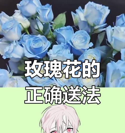 玫瑰花色的象征意义（用花色诠释情感世界）