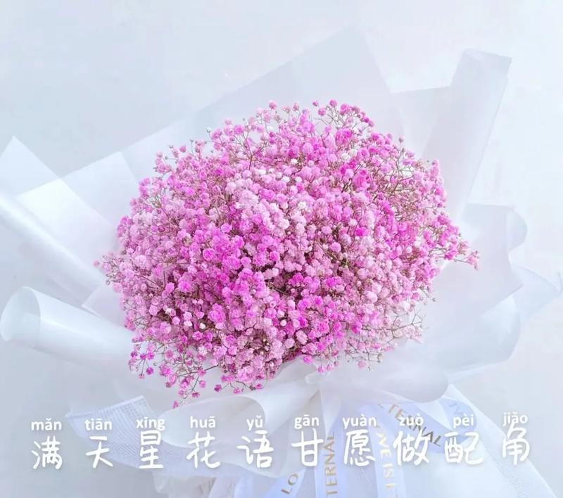 满天星的花语和寓意（探寻满天星的象征意义和美丽故事，传递祝福与希望）