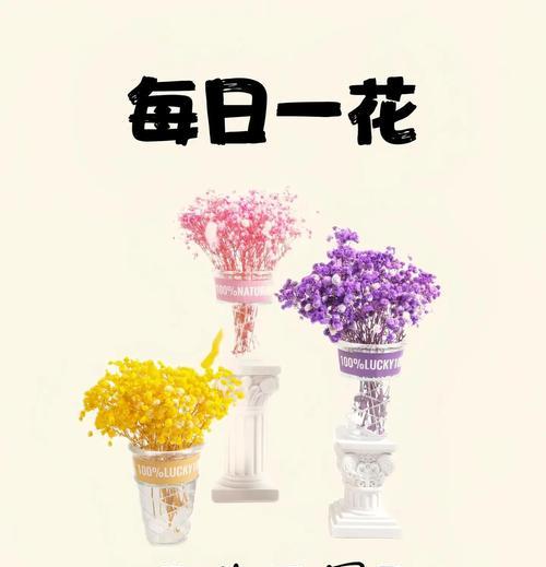 满天星的花语和寓意（探寻满天星的象征意义和美丽故事，传递祝福与希望）