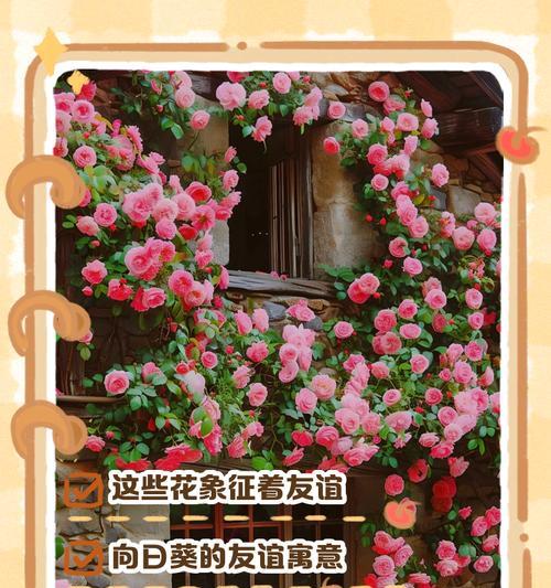 红豆花语（探寻红豆花语的深层含义）