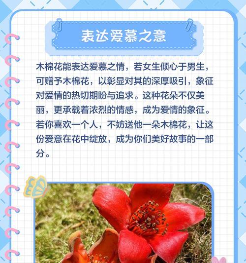 木棉花（探寻木棉花的花语及寓意）