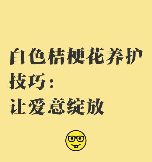 白色桔梗花语（桔梗花语的深刻意义及文化传承）