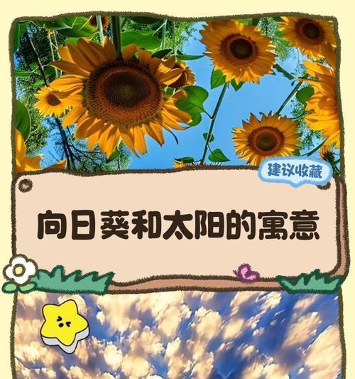 向日葵的象征意义与寓意（阳光、坚韧、爱与美丽）