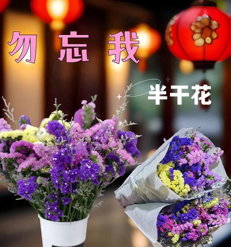 勿忘我花语与象征意义（探寻勿忘我花的花语和象征意义，了解它所代表的情感和价值）