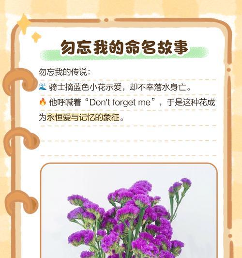 勿忘我花语与象征意义（探寻勿忘我花的花语和象征意义，了解它所代表的情感和价值）