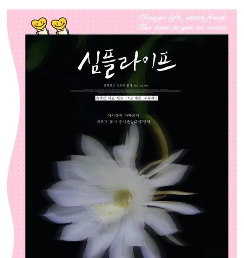 昙花的花语和寓意（探索昙花的深意，领悟生命的真谛）