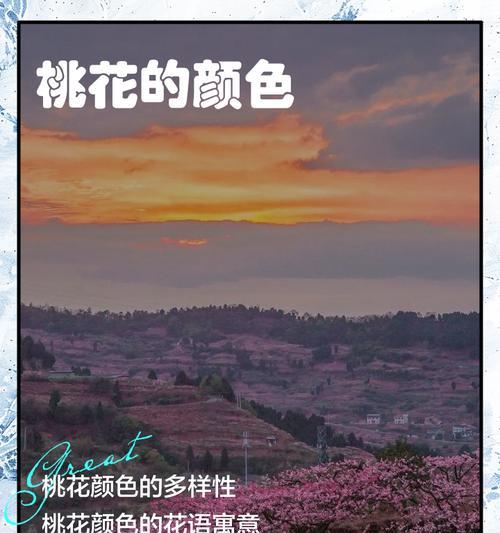 桃花花语的美丽寓意（桃花盛开，传递幸福与爱的花语）