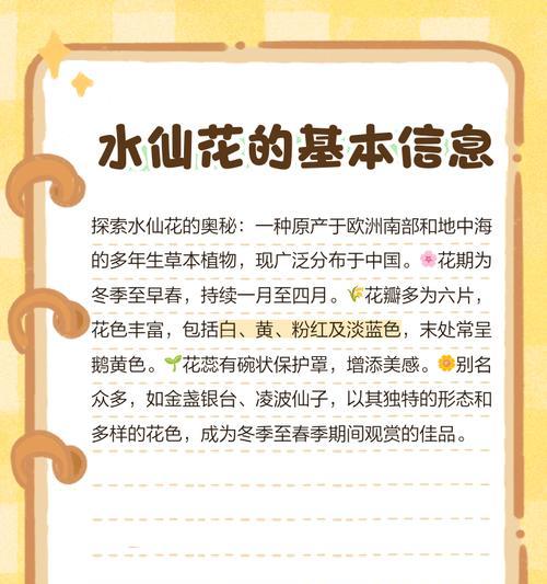 水仙花的意义与象征——唤醒内心的纯净与美丽（水仙花的由来、传说与文化影响）